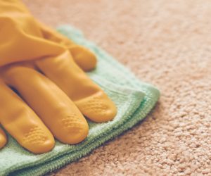 Deep cleaning a carpet – properly