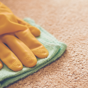 Office Cleaning Chester, North Wales & Surrounding Areas | SMClean NW | Wiping a carpet