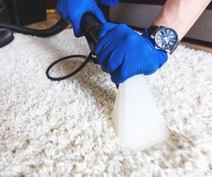 Caring for a woollen rug