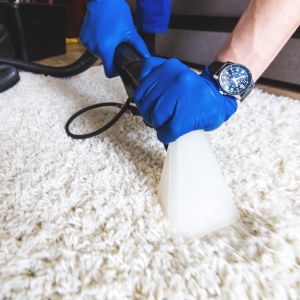 SM Clean NW | Office Cleaning Chester, North Wales & Surrounding Areas | Cleaning a rug
