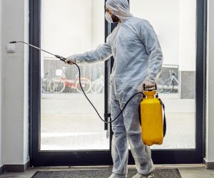 Specialist cleaning for infection control